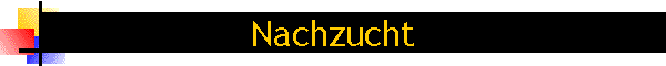 Nachzucht