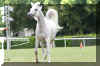 DSC02968.jpg (246976 Byte)