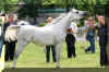 DSC03005.jpg (263816 Byte)