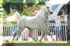 DSC03019.jpg (285269 Byte)