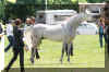 DSC03029.jpg (261055 Byte)