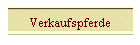 Verkaufspferde