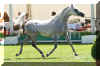 lv_lahab_aec_mb04.jpg (230249 Byte)